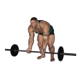 Reverse Row - Bent Over Barbell